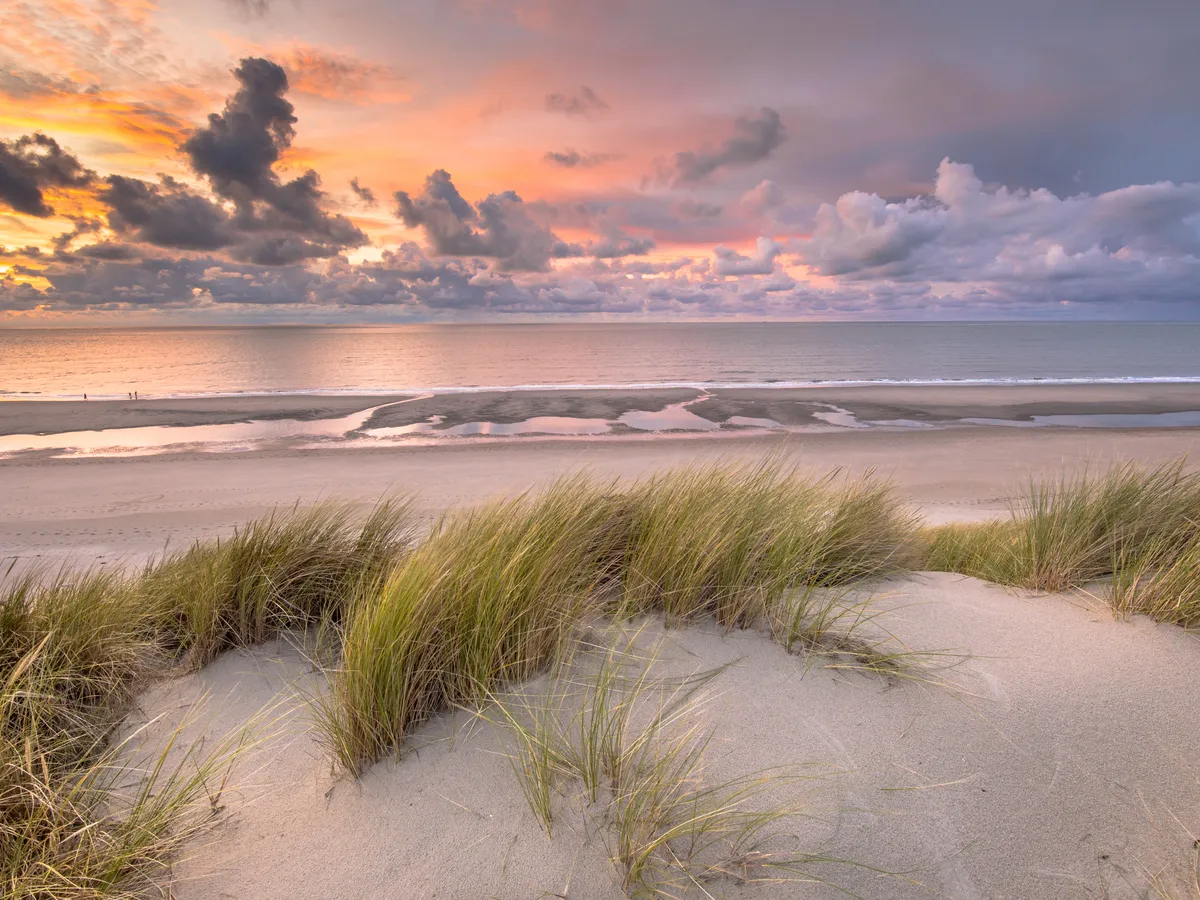 Playa y dunas del Mar del Norte en la costa holandesa — eventos en la playa y team building